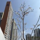 필미즈의원 이미지