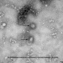 강북서울외과의원 이미지