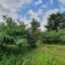 간성농장 이미지