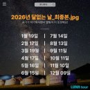 6월 몽골 남고비 여행 ① 준비 과정 ~여행사 견적 비교와 동행 구하기~ 최종 비용!