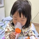 슬기로운유라생활 이미지