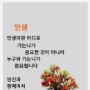 어여쁜 여인 (SG 워너비 - 한 여름날의 꿈 (Feat. 옥주현)) 이미지