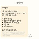 산골자전거 | 부여 그리고 무주산골영화제 (26.6.4~6.7)