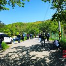 초암산주차장 | (등산) 전남 보성 - 초암산 (2025.5.4.)