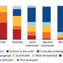 “이동성 야생동물이 위험해” 어류의 97%는 멸종 위기… 이미지