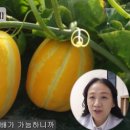 참좋은에너지