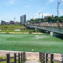 군민체육공원 인라인스케이트장 이미지