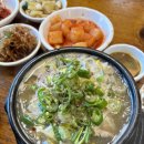 킹콩백화점주식회사 평택점 | [Nov.4] 평택 안중 킹콩백화점 후기 (위치·영업시간·가성비 쇼핑 정보)