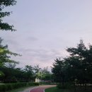 서재체육공원 이미지