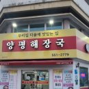 대구해장국 - 청송군 월막2길 4 | 대구해장국