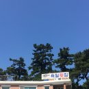 육일 | 울산 주전 내돈내산 물회 맛집 육일횟집 후기