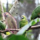 G.M골프스쿨 이미지