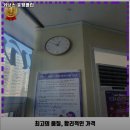 커브스후평클럽 | 강원특별자치도 춘천시 헬스장 커브스 후평클럽 내용가격운영시간주차리뷰 알아보기