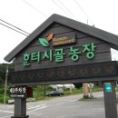 명가농장 이미지