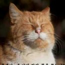 인천디자인센터