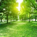 주식회사 하나로 이미지