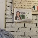 여명로 | [창원] 진해 여좌동 반려동물 동반 가능 타코 맛집, 타코집 내돈내산 추천 후기