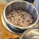 하늘과 소나무 | 영종도 맛집 소나무 식당과 인천공항 전망대 내돈내산 후기