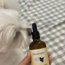 펫인푸드 | 강아지·고양이 장건강 영양제 추천그레이스 푸드랩 리브큐 바이오 비어헤페 펫 100ml 솔직 후기