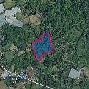 표선리-2 이미지