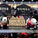 몰리스펫샵 센텀 이미지