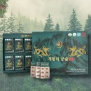 업체직배송!당뇨와 혈행개선에 좋은~![제황의 궁솔] 이미지