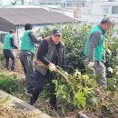 매화 경로당 이미지