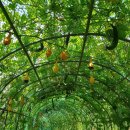 장승포해안로 이미지