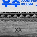 담 네이버블로그