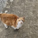 백미응서재 이미지