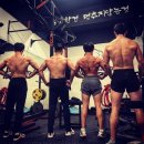 팀크레모아 이미지