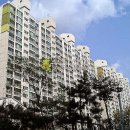 광산구-137 Daum카페