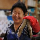 안면도수산업협동조합 이미지