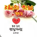 사랑하는 님아ㅡ홍주 노래ㅡ 과일이 주렁주렁 ㅡ 달려있는 영상입니다ㅡ 이미지