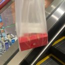 도일이네 | 오사카(+도일미란가영인성서영민주도연)