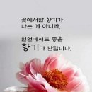 11월18일 월요일 출석글 이미지