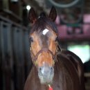 (주)위드조이미 이미지