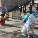 광화농장 이미지