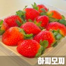 과일여왕 | 고당도 겨울의 여왕 제철과일 딸기 택배 후기