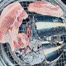 참숯힐링스파 | 파주 가족 힐링 스팟 홍삼스파 참숯가마 사우나 키즈카페, 찜질, 장어 먹방
