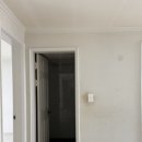 한라동백@ 이미지