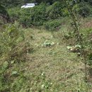 손별농장 이미지