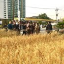 다백농장 이미지