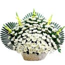 상주농협(1층) 이미지