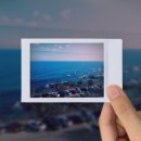 미야네 대게 이미지