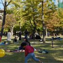 평화3(잔디광장) 이미지