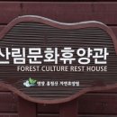 흥림산자연휴양림 이미지
