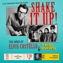 Shake It Up(The Cars) 이미지