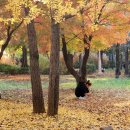 부평공원3 이미지