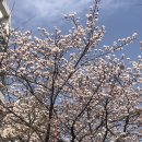 피치스주유소 빙고점 | 즉흥적인 부산 드라이브 여행 광안리해수욕장 영도 마리노오토캠핑장 부산 피치스 주유소 빙고점